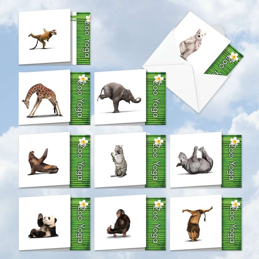 Zoo Yoga: Stylish Blank Square-Top Assortment Of Cards