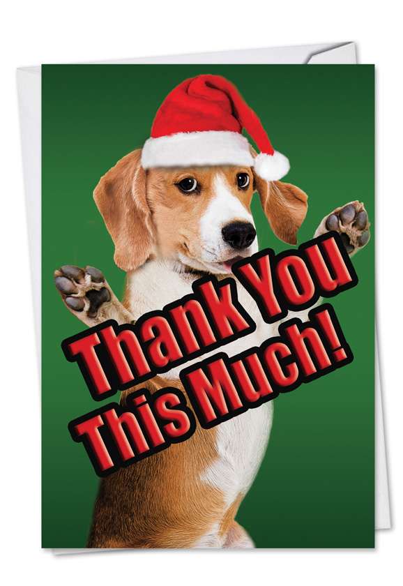 Dog Big Thanks: Creative Christmas Thank You Greeting Card