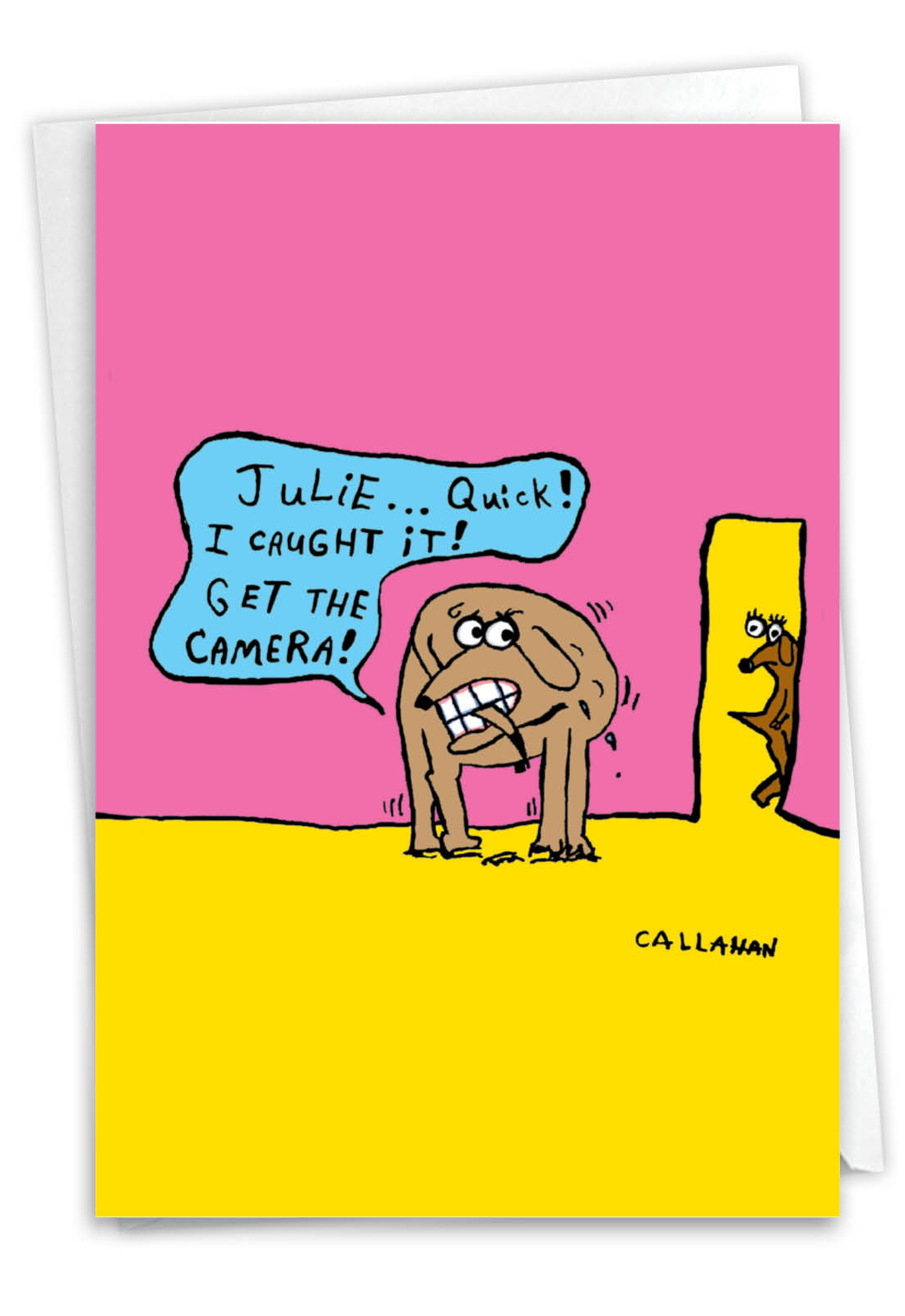 Shade Tree Greetings Funny Birthday Greeting Card (5" X 7") By Paper Street | 3 Pack 3