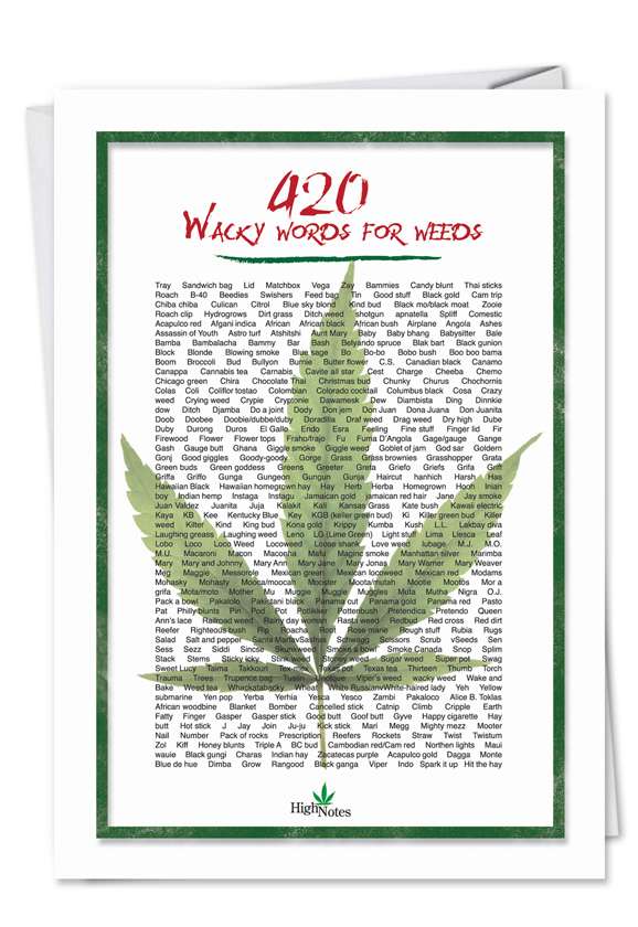 Funny Birthday Greeting Card from NobleWorksCards.com - 420 Wacky Words
