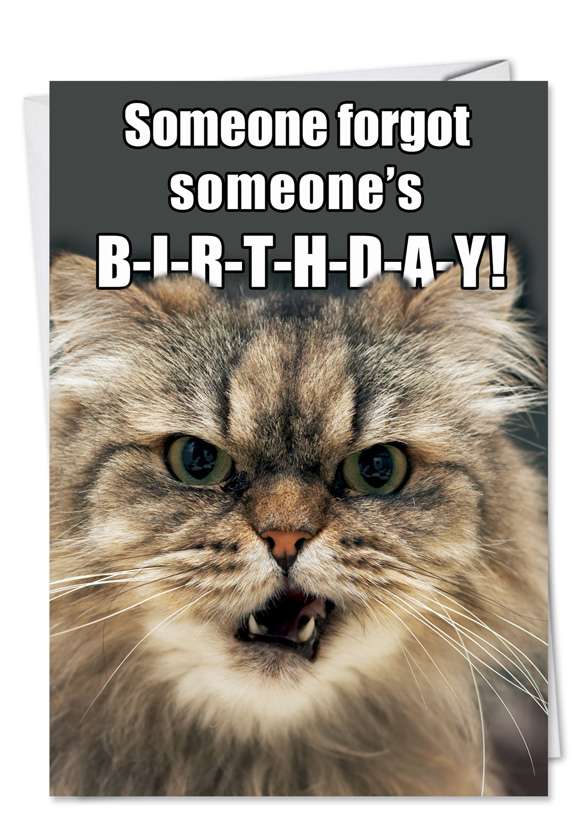 Angry Cat Forgot Birthday Petigreet Birthday Paper Card