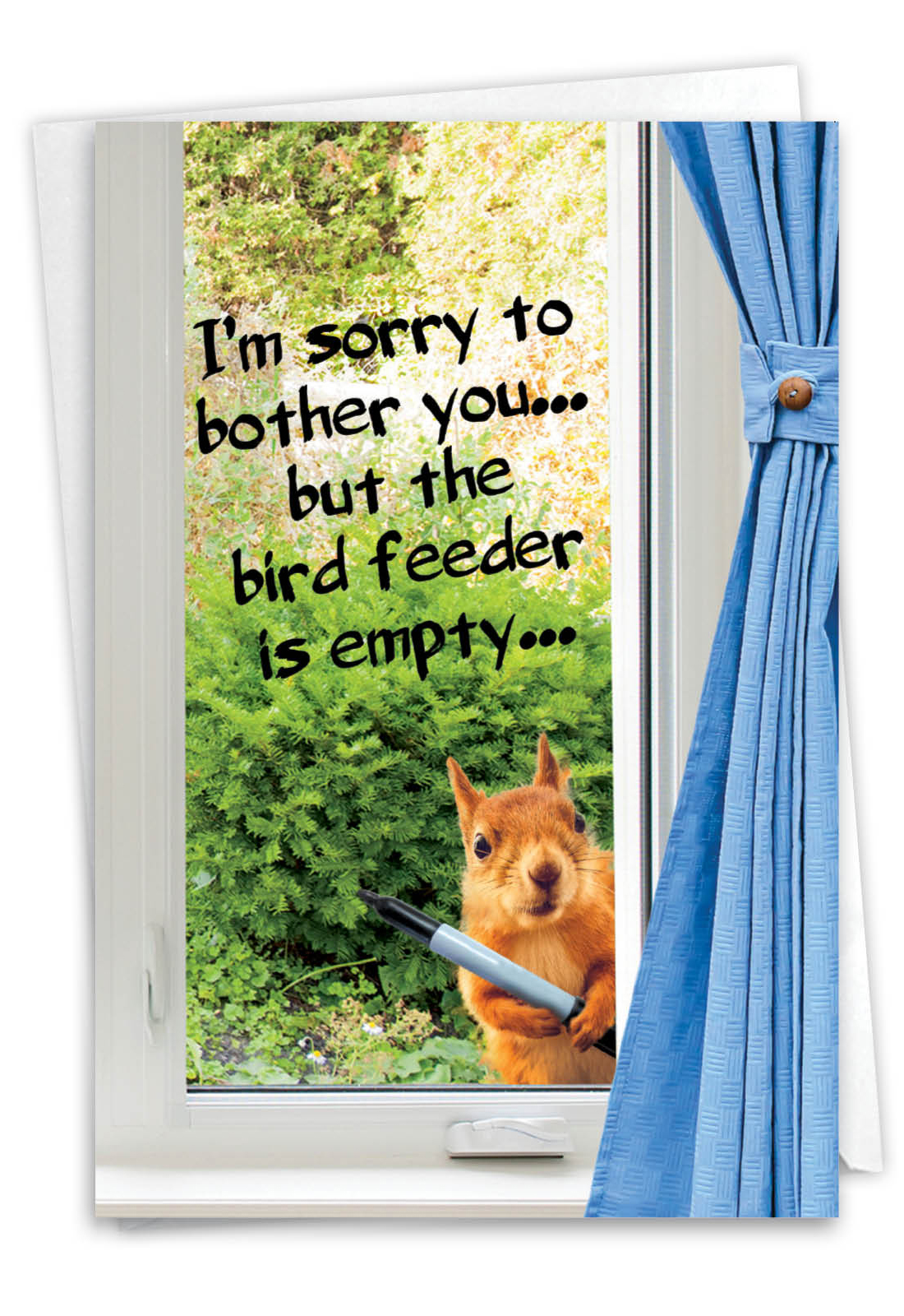 Empty Bird Feeder Petigreet Birthday Card Nobleworks