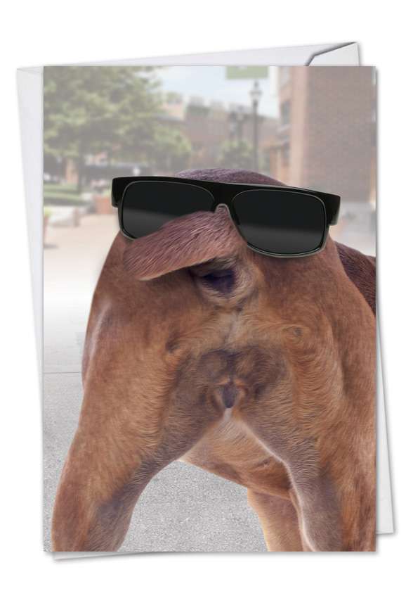 Funny Dog Face Petigreet Birthday Greeting Card