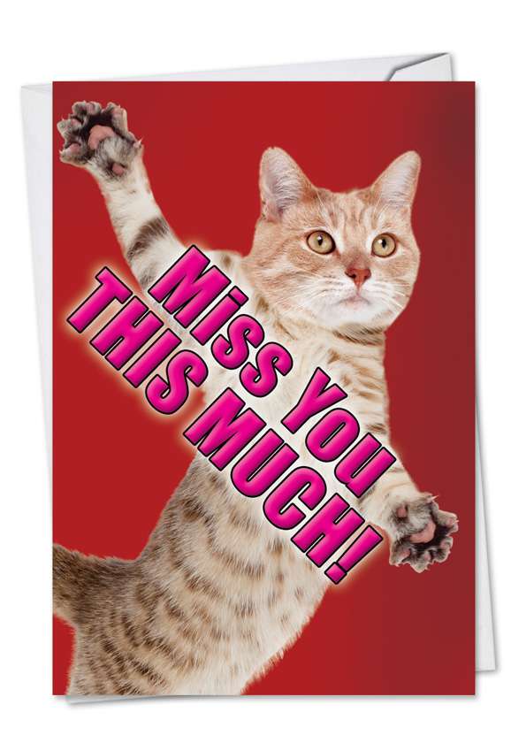 Hilarious Miss You Greeting Card from NobleWorksCards.com - Miss You This Much-Cat