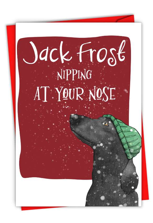 Creative Merry Christmas Card By Christine Anderson From NobleWorksCards.com - Holiday Dog Antics - Jack Frost