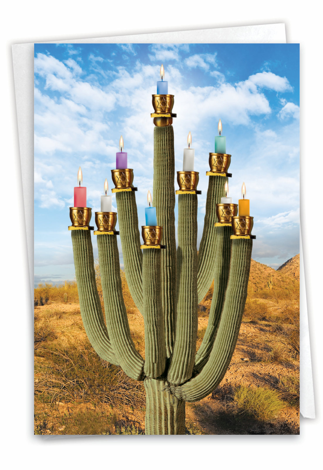 Prickly Menorah Funny Hanukkah Paper Card