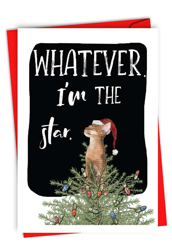 Funny Merry Christmas Card By Christine Anderson From NobleWorksCards.com - Cat Star