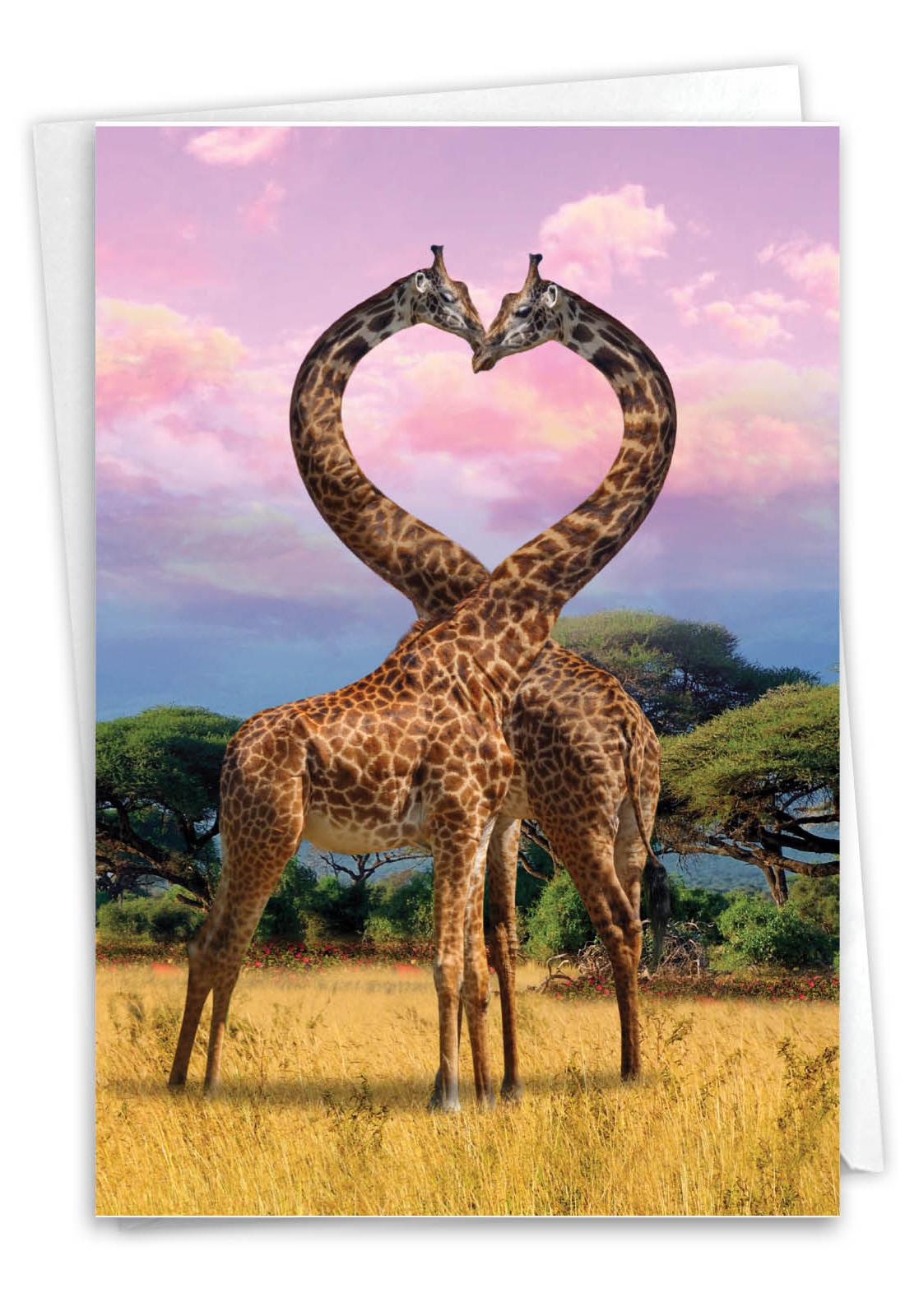 Loving Animals Anniversary Greeting Card