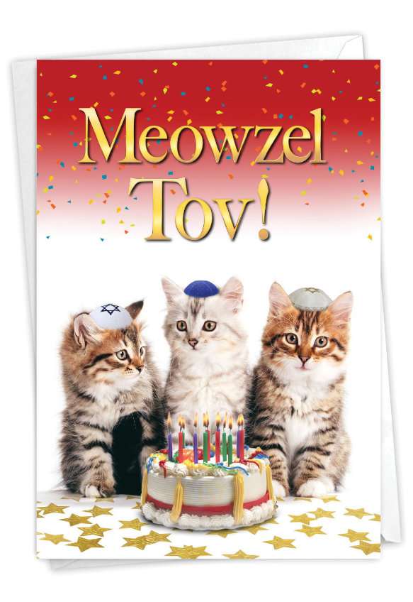 Hysterical Birthday Printed Greeting Card From NobleWorksCards.com - Meowzel Tov