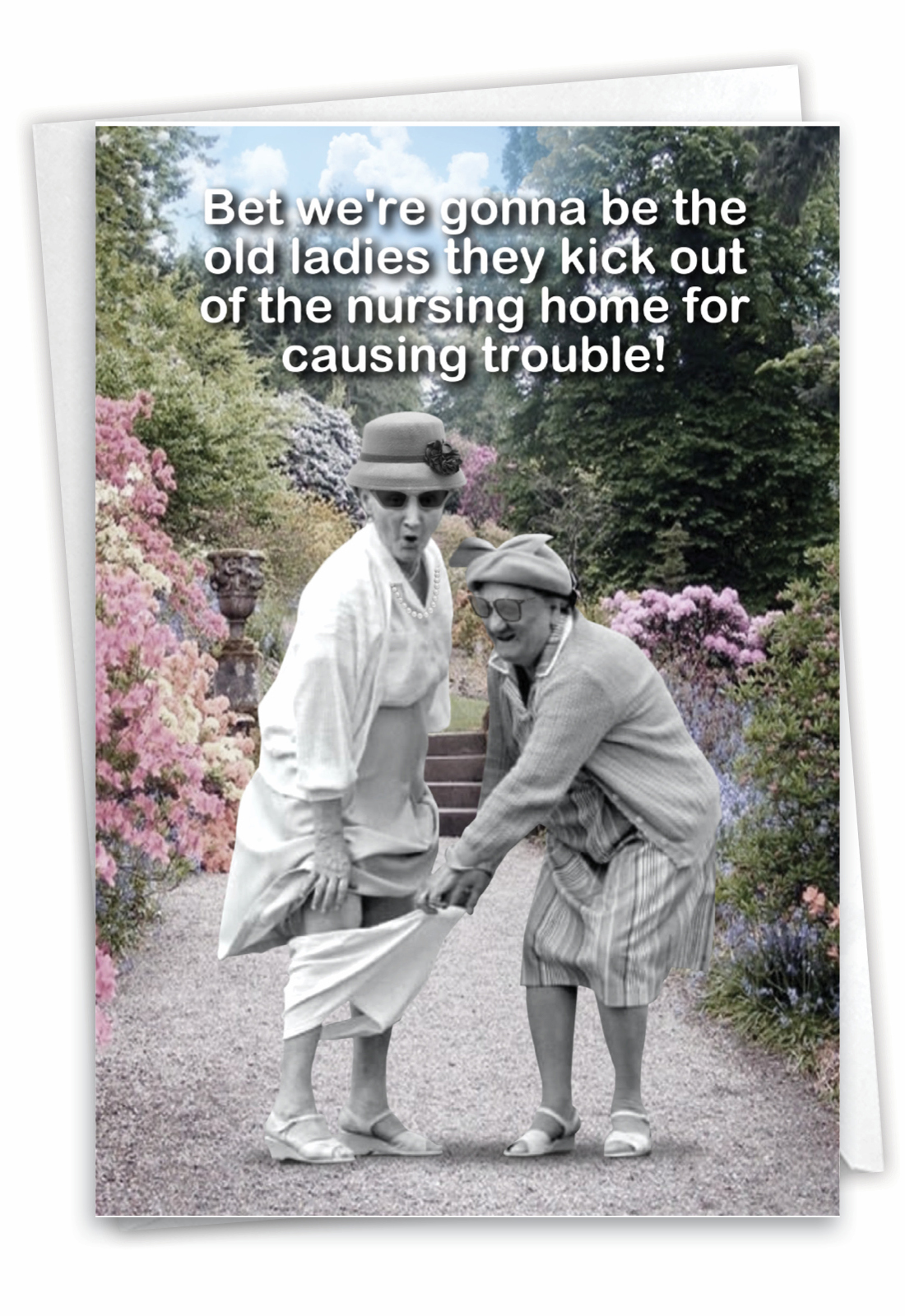 Old Troublemakers - Funny Birthday Card
