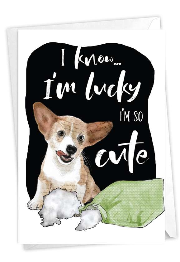 Funny Birthday Paper Card By Christine Anderson From NobleWorksCards.com - Dog Antics - Pillow Eater