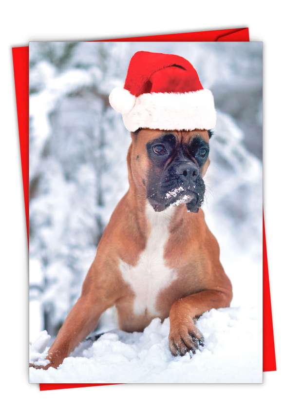 Hilarious Merry Christmas Printed Greeting Card From NobleWorksCards.com - Holiday Best Boxers