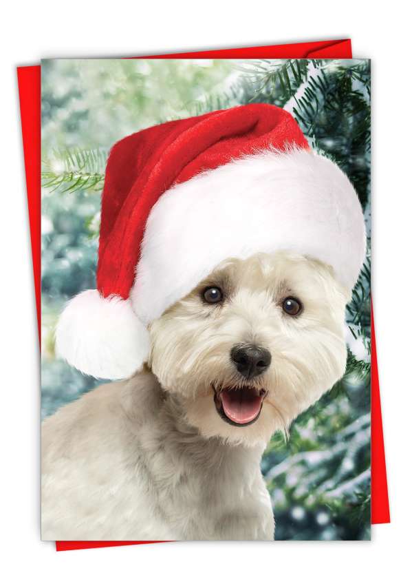 Hysterical Merry Christmas Greeting Card From NobleWorksCards.com - Holiday Wonderful Westies