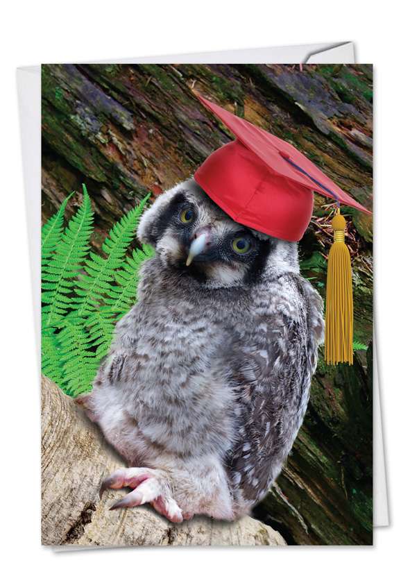 Stylish Graduation Paper Greeting Card from NobleWorksCards.com - Capped Creatures