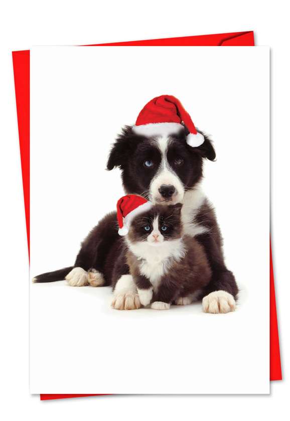 Creative Christmas Greeting Card by Warren Photographic from NobleWorksCards.com - Copy Cats