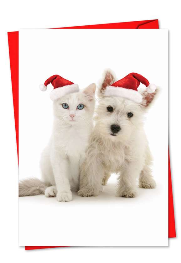 Creative Christmas Paper Greeting Card by Warren Photographic from NobleWorksCards.com - Copy Cats