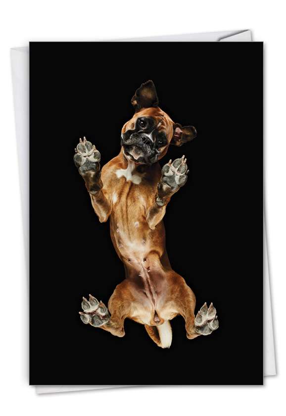 Stylish Miss You Paper Greeting Card By Underlook From NobleWorksCards.com - Big Under Dogs - Boxer