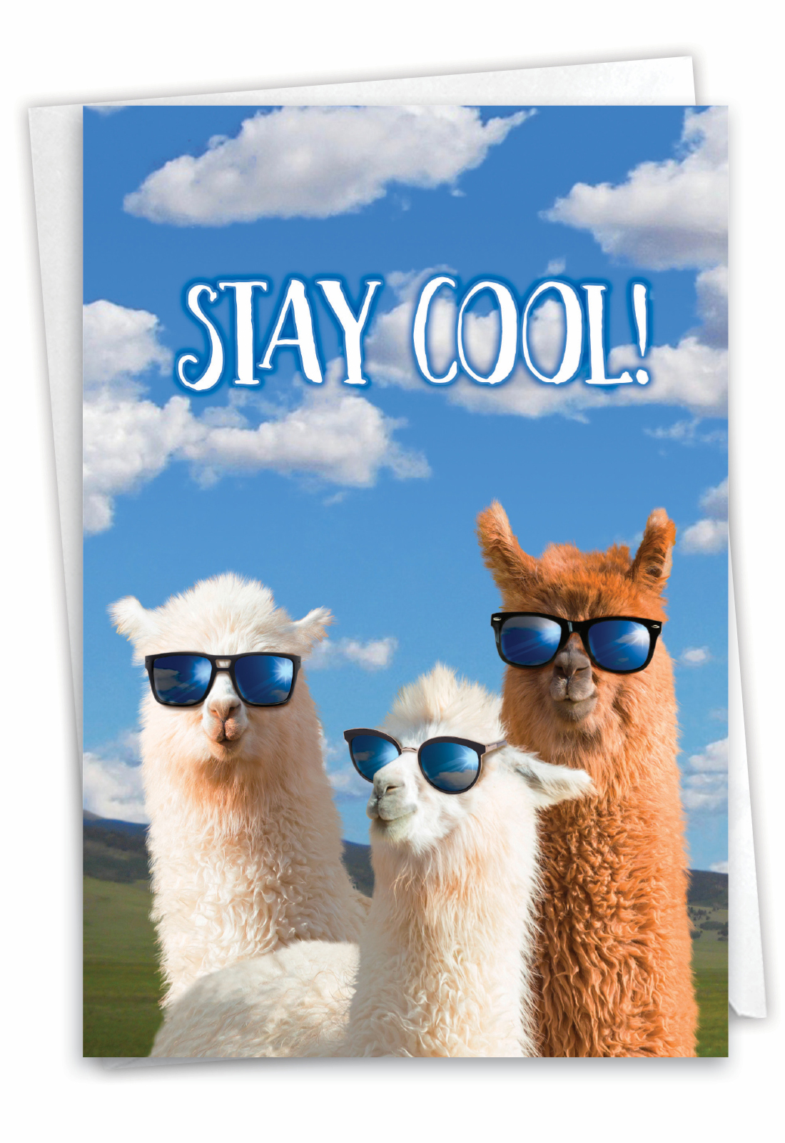 Cool Llamas Congrats Funny Congratulations Card