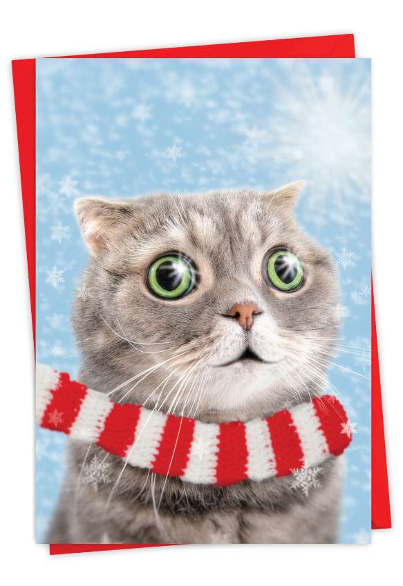 Funny Merry Christmas Paper Greeting Card By Michael Quackenbush From NobleWorksCards.com - Puss In Scarf