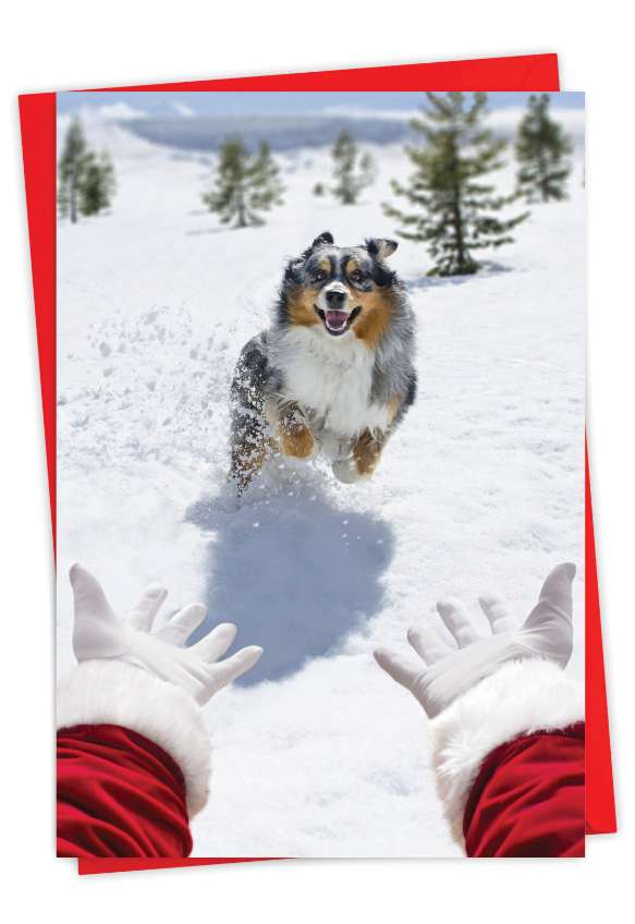 Humorous Merry Christmas Card By Michael Quackenbush From NobleWorksCards.com - Santa Dog