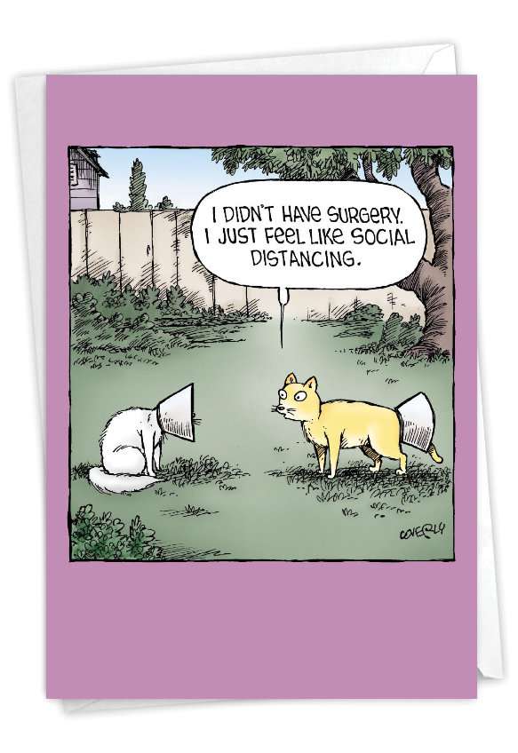 Funny Get Well Paper Greeting Card By Dave Coverly From NobleWorksCards.com - No Surgery Cats