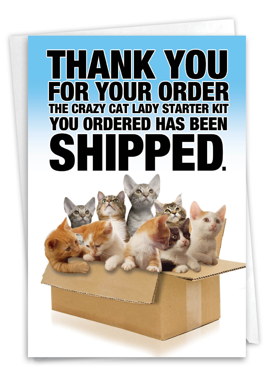Cat Lady Starter Kit Petigreet Birthday Greeting Card