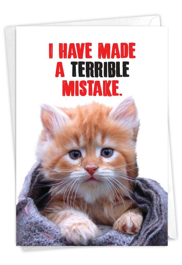 Hilarious Sorry Greeting Card From NobleWorksCards.com - Cat Terrible Mistake