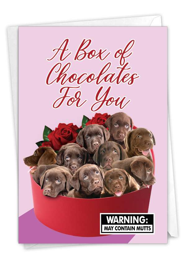 Hilarious Valentine's Day Printed Greeting Card From NobleWorksCards.com - Box of Chocolates