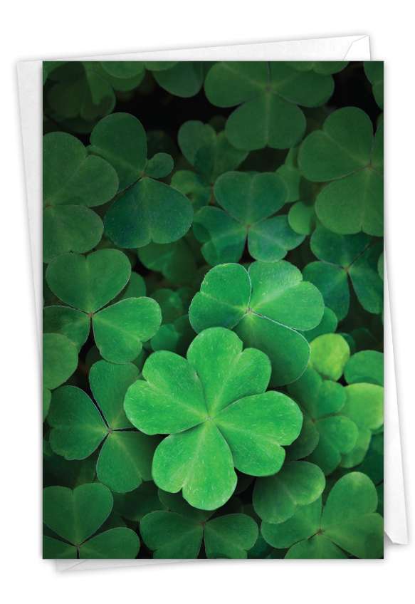 Stylish St. Patrick's Day Card From NobleWorksCards.com - Lucky Clovers