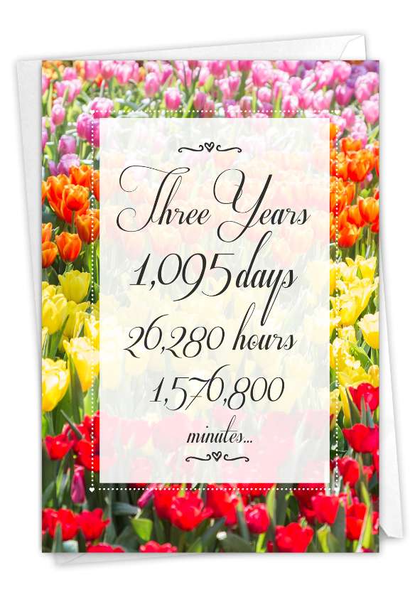 Hysterical Milestone Anniversary Printed Card From NobleWorksCards.com - 3 Year Time Count