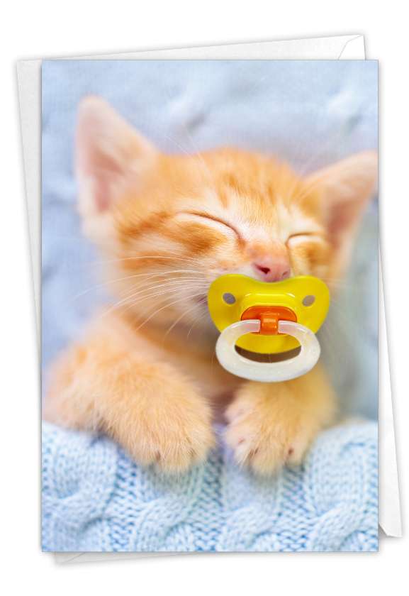 kitten pacifier petco