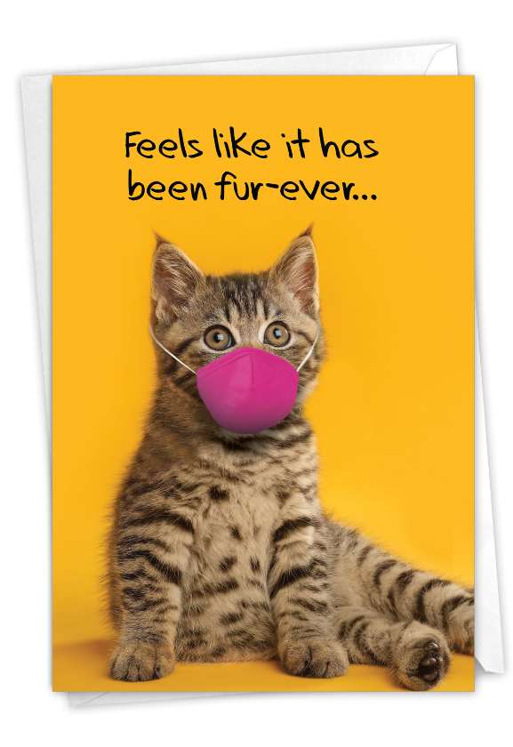 Hilarious Miss You Printed Card From NobleWorksCards.com - Masked Cats - Tabby