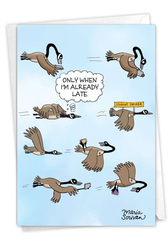 Funny Belated Birthday Paper Greeting Card By Maria Scrivan From NobleWorksCards.com - Geese Traffic