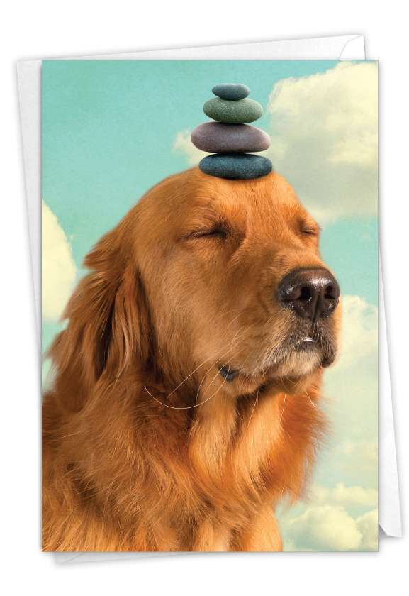 Funny Miss You Card By Michael Quackenbush From NobleWorksCards.com - Zen Dog