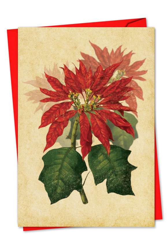 Poinsettia Season: Creative Christmas Printed Greeting Card