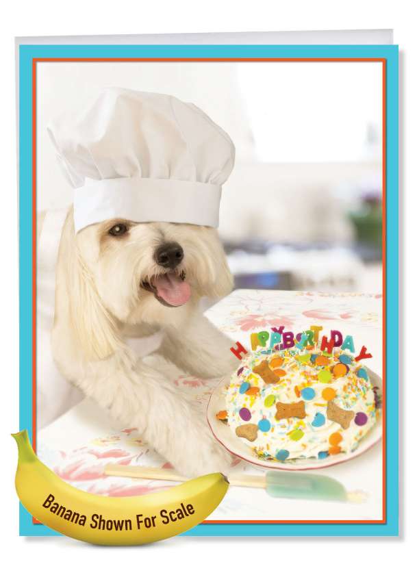 Hilarious Birthday Jumbo Greeting Card By Michael Quackenbush From NobleWorksCards.com - Dog Chef