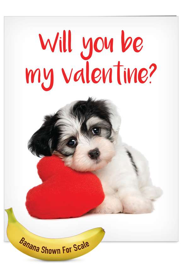 Puppy Heart Petigreet Valentine's Day Card