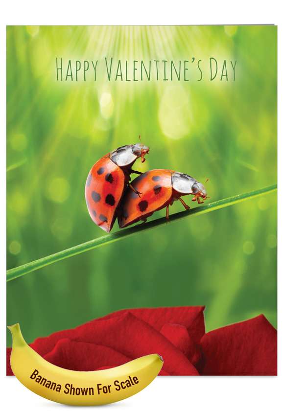 Ladybug Love Red Rocket Valentine's Day Card Nobleworks