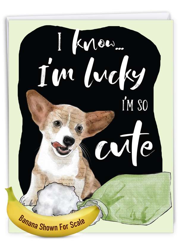 Stylish Birthday Jumbo Paper Greeting Card By Christine Anderson From NobleWorksCards.com - Dog Antics - Pillow Eater