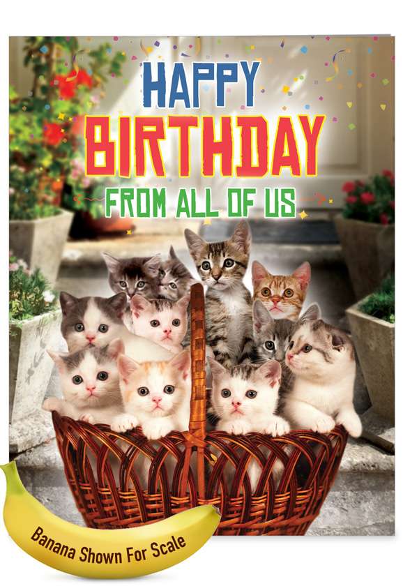 From All Us Cats: Humorous Birthday Large Paper Greeting Card