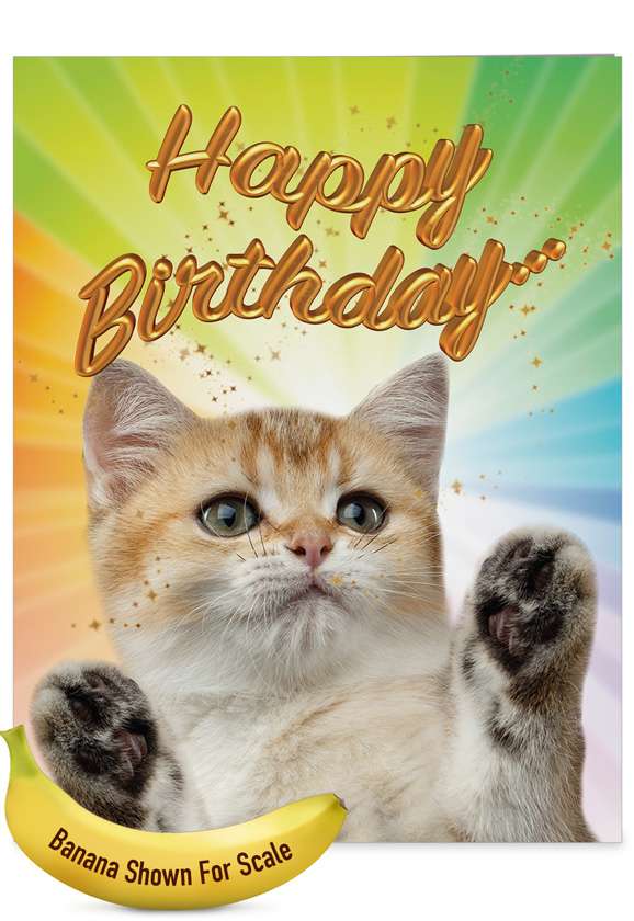 Stylish Birthday Jumbo Paper Greeting Card By NobleWorks Inc From NobleWorksCards.com - Cat-Sent Greetings