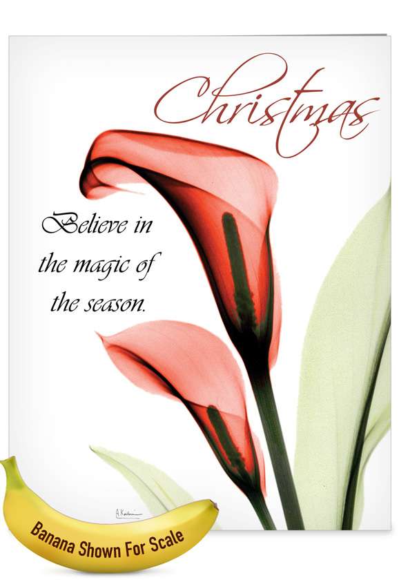 Creative Merry Christmas Jumbo Printed Card By Albert Koetsier From NobleWorksCards.com - Blooming Christmas Spirit-Lilies