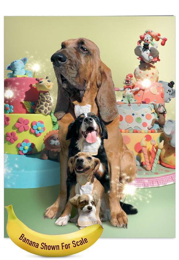 Stylish Birthday Jumbo Printed Card by Chiara Castellini from NobleWorksCards.com - Puppy Love