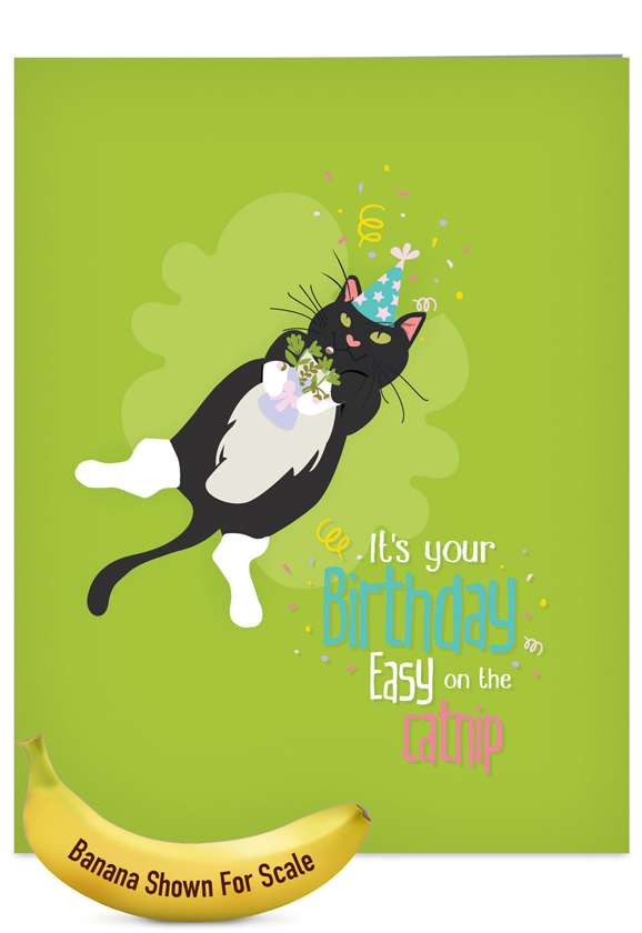 Catty Cards Nobleworks By Design Birthday Card Jennifer Lange