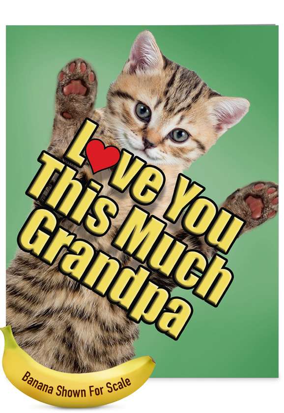 Download Cat Love You This Much Grandpa Father S Day Big Card