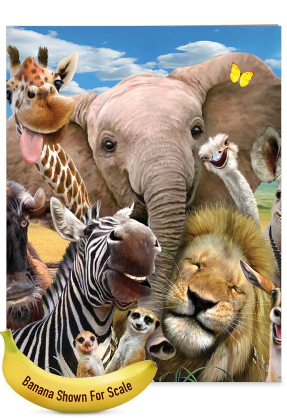 Creative Birthday Jumbo Printed Card By Robinson, Howard From NobleWorksCards.com - Here's Looking At Zoo