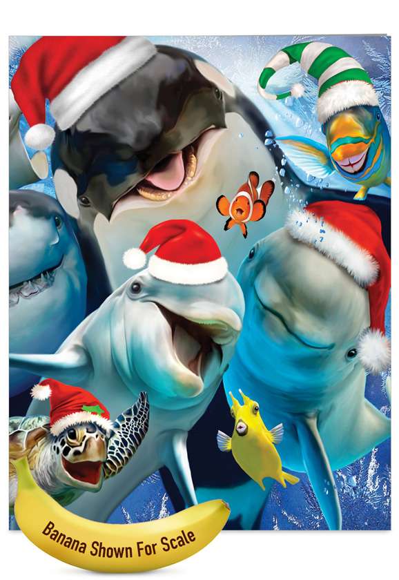 Stylish Christmas Jumbo Printed Card by Howard Robinson from NobleWorksCards.com - Merry Christmas to Zoo