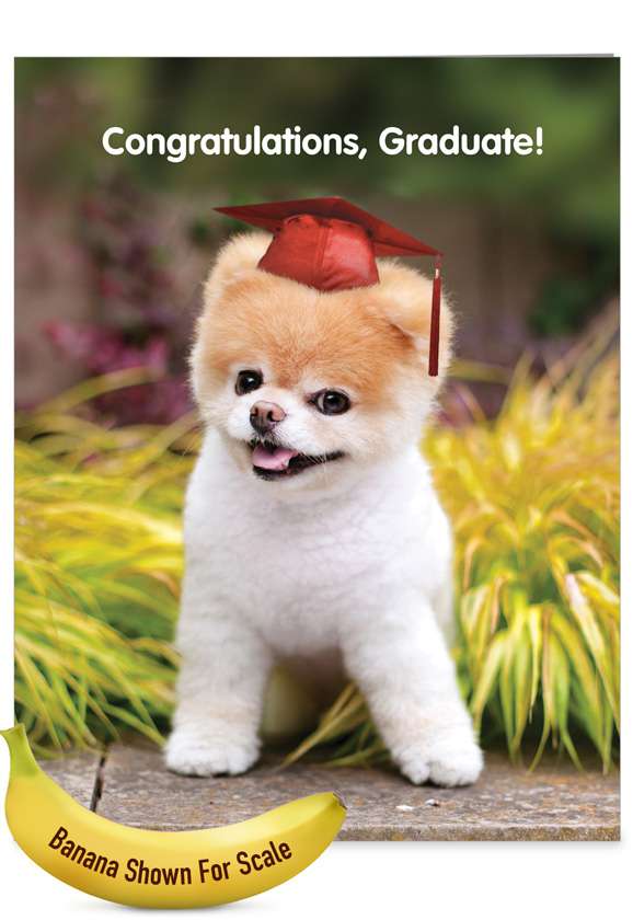 Hysterical Graduation Jumbo Printed Card By Spotlight Licensing From NobleWorksCards.com - Boo-tiful Future