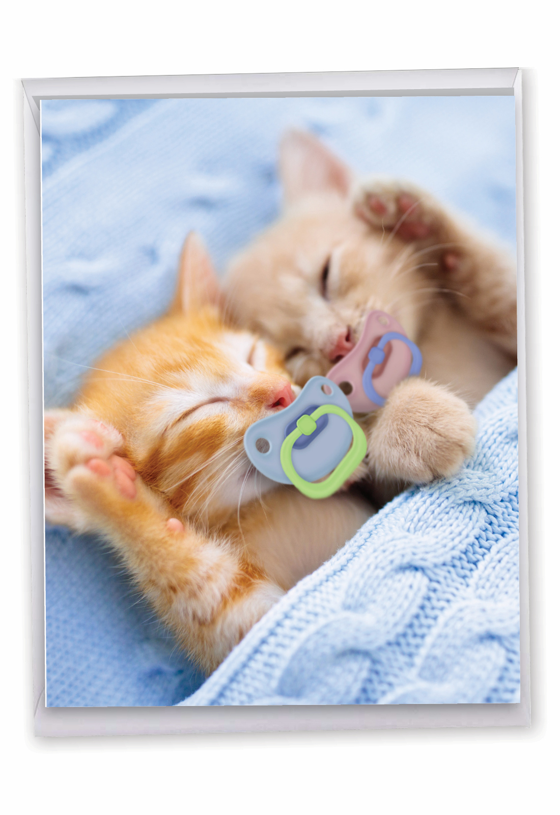 Cat Pacifiers Kittens Artistic Birthday Big Card