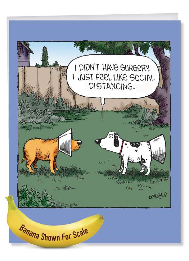 Hilarious Get Well Jumbo Printed Card By Dave Coverly From NobleWorksCards.com - No Surgery